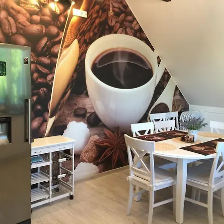 Apartman Comfort Zone Ostróda 1 *