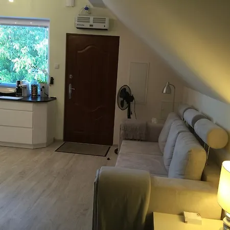 Comfort Zone Ostróda 1 Grabinek