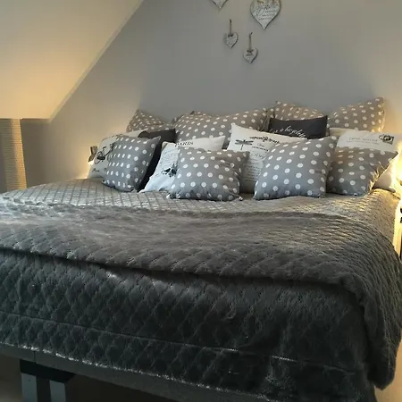 Comfort Zone Ostróda 1 *